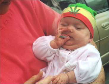 l'arriere petite fille de bob